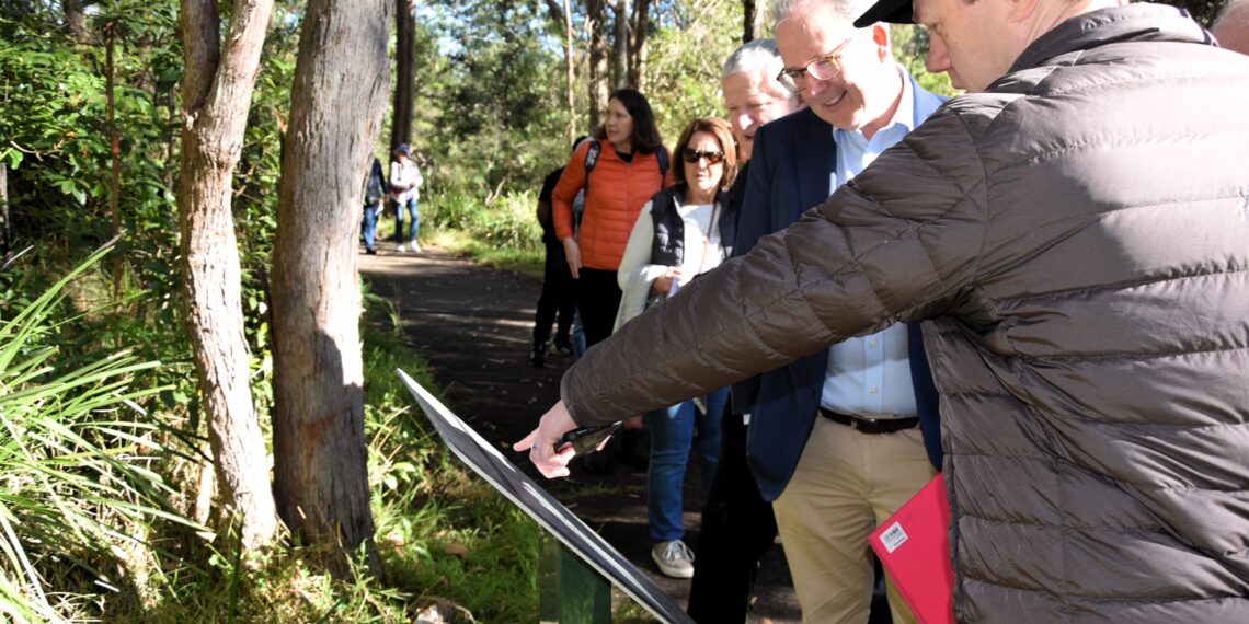 Thornleigh Zig Zag Railway: