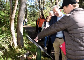 Thornleigh Zig Zag Railway: