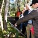 Thornleigh Zig Zag Railway: