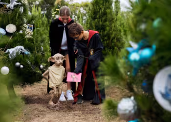 Harry Potter Magic at Dural Christmas Tree Farm