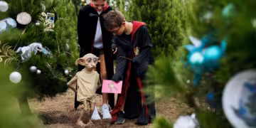 Harry Potter Magic at Dural Christmas Tree Farm