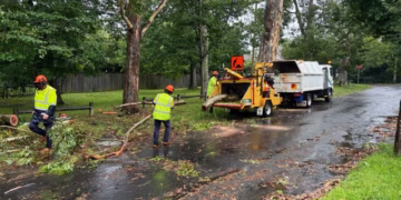 Big Ku-ring-gai storm clean-up effort