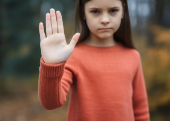 Lower North Shore Mayors