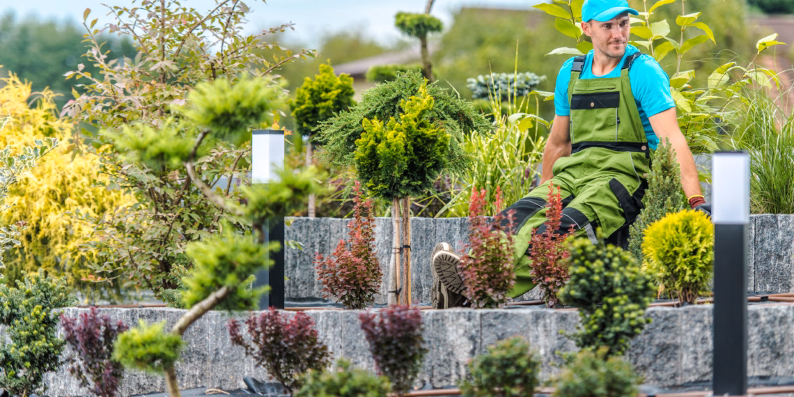 North  Sydney Garden Competition Opens for Entries
