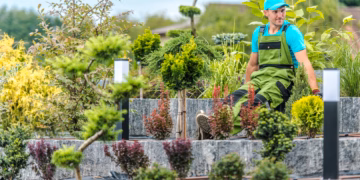North  Sydney Garden Competition Opens for Entries