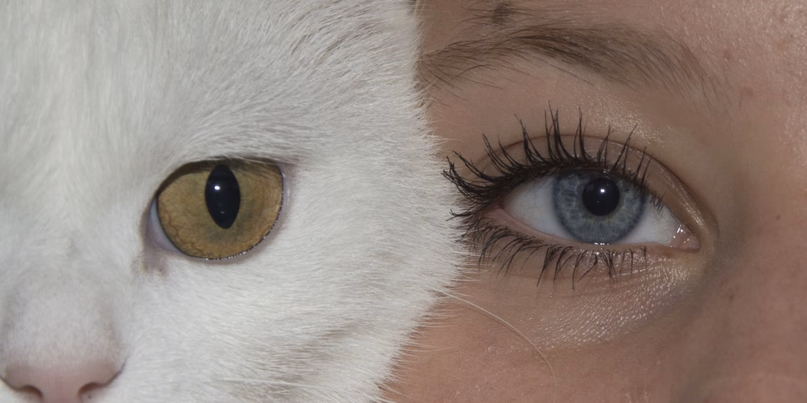 What We Can Learn from Animals