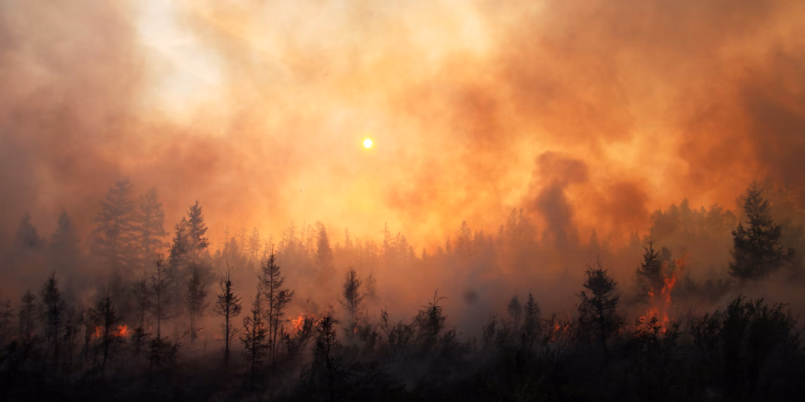 RFS Urges Residents to Prepare for Summer Bushfire Threats