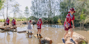 Hornsby’s nature-themed Children’s Forest wins  national playspace award