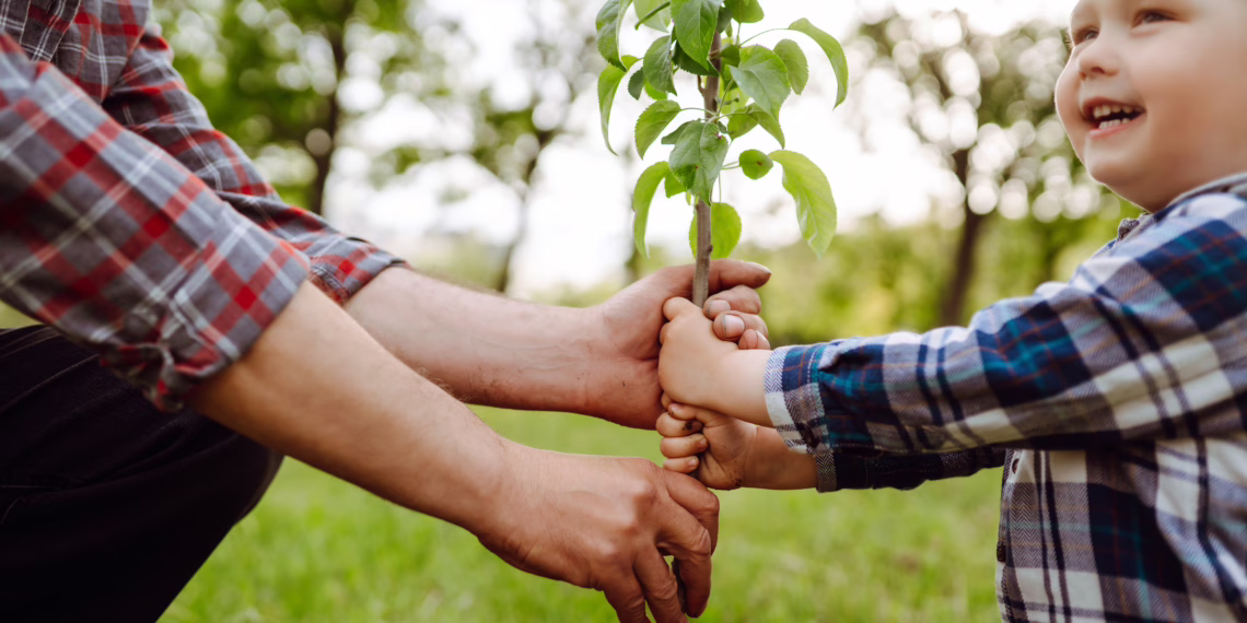 Nature laws, community action, and the holiday season