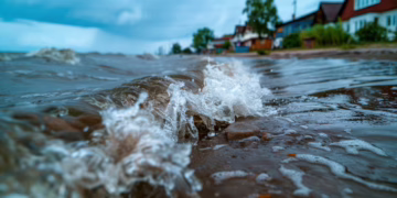 Moving from Sydney to the Central Coast: Expert Tips to Avoid the “Sydney Tax”