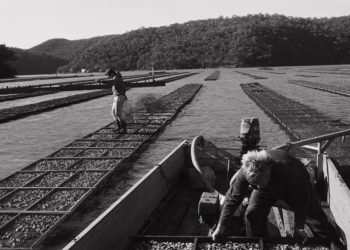 Juno Gemes Photography Exhibition: A Hawkesbury River Legacy