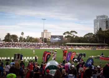 A Massive July with the North Sydney Bears