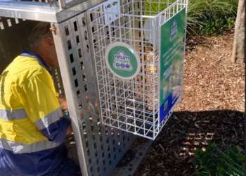 From Litter to Cash