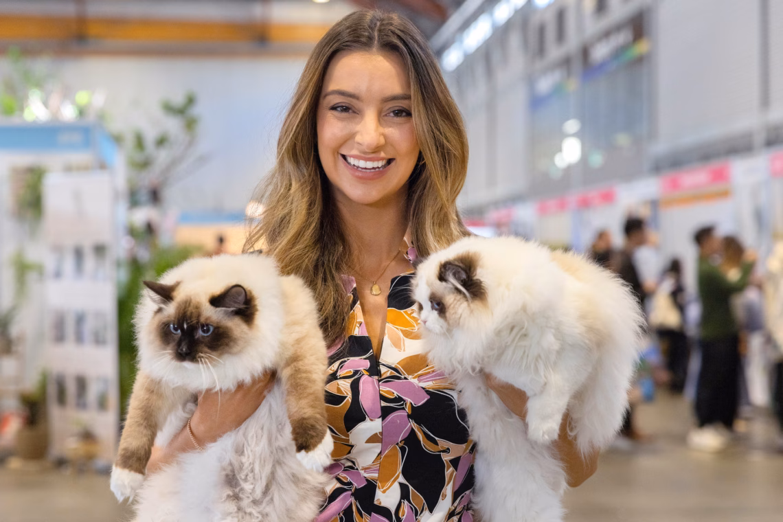 Sydney Cat Lovers Festival 2026: Essential Local Guide