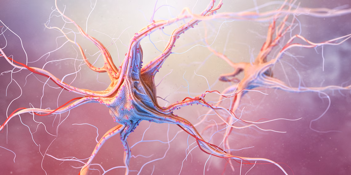 Government Fast-Tracks MND Funding Support