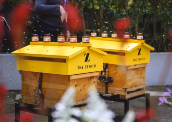 Urban Bee Hives Installed at The Zenith in Chatswood