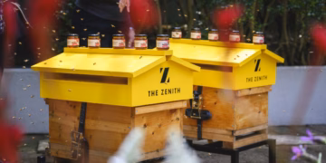 Urban Bee Hives Installed at The Zenith in Chatswood