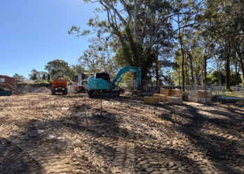 St Ives Urban Park: Bedes Forest Expansion Underway