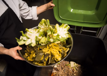 Free FOGO Support for Willoughby Food Businesses